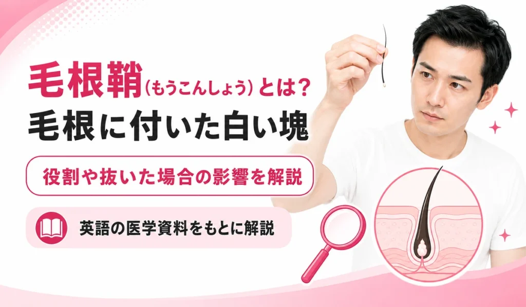 毛根に付いた白い塊＝毛根鞘の役割と、抜いた場合の影響を解説する記事の見出しイラスト。抜けた髪の根元を見る男性と毛根の断面図