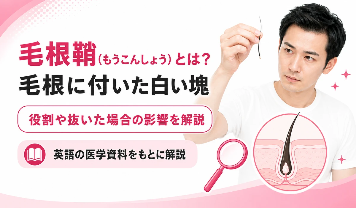 毛根に付いた白い塊=毛根鞘の役割と、抜いた場合の影響を解説する記事の見出しイラスト。抜けた髪の根元を見る男性と毛根の断面図