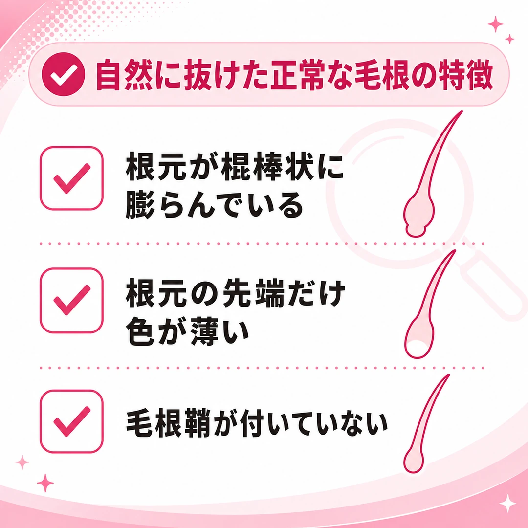 自然に抜けた正常な毛根の特徴を3つのチェック項目で示した図。根元が棍棒状に膨らむ、先端だけ色が薄い、毛根鞘が付いていない