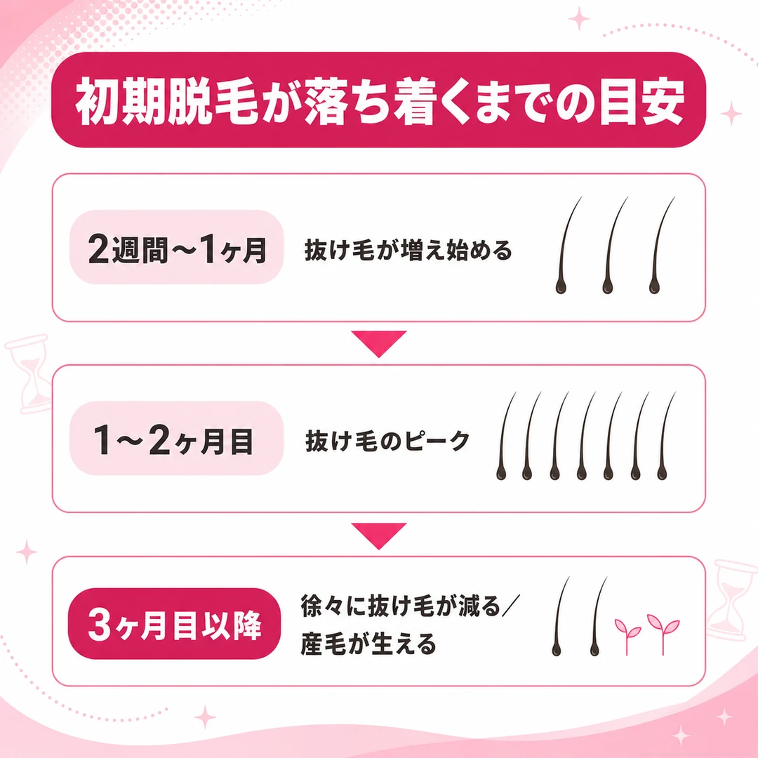 AGA治療の初期脱毛が落ち着くまでの目安を3段階で示した図。2週間〜1ヶ月で増え始め、1〜2ヶ月目がピーク、3ヶ月目以降は徐々に減る