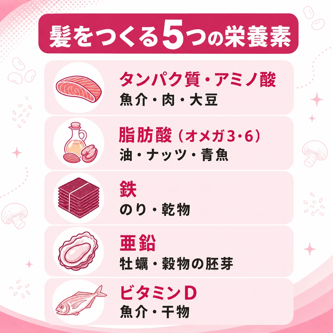 髪をつくる5つの栄養素と、それぞれを多く含む食品の種類を並べた図。タンパク質・アミノ酸は魚介や肉や大豆、脂肪酸は油やナッツや青魚、鉄はのりや乾物、亜鉛は牡蠣や穀物の胚芽、ビタミンDは魚介や干物